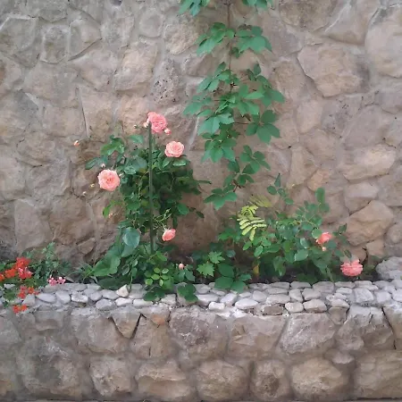 Mile Appartement
