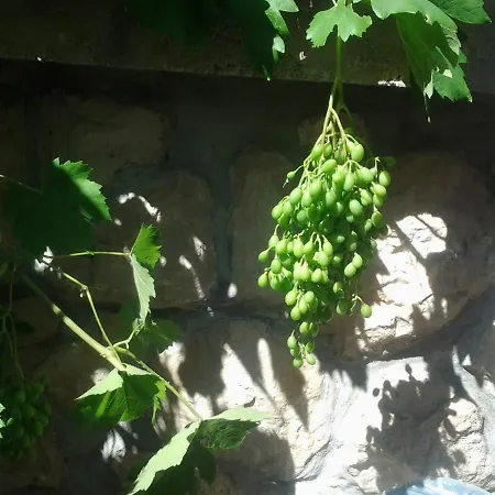 Apartman Mile Šibenik