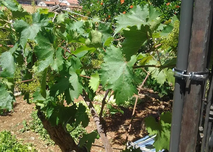 Apartment Mile Apartman *