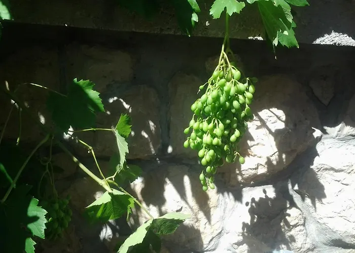 Apartman Apartment Mile Sibenik