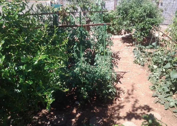 Apartment Mile Apartman